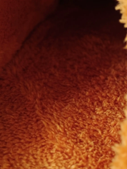 Fleece-Lined Baguette Slippers - Cozy Limited Edition